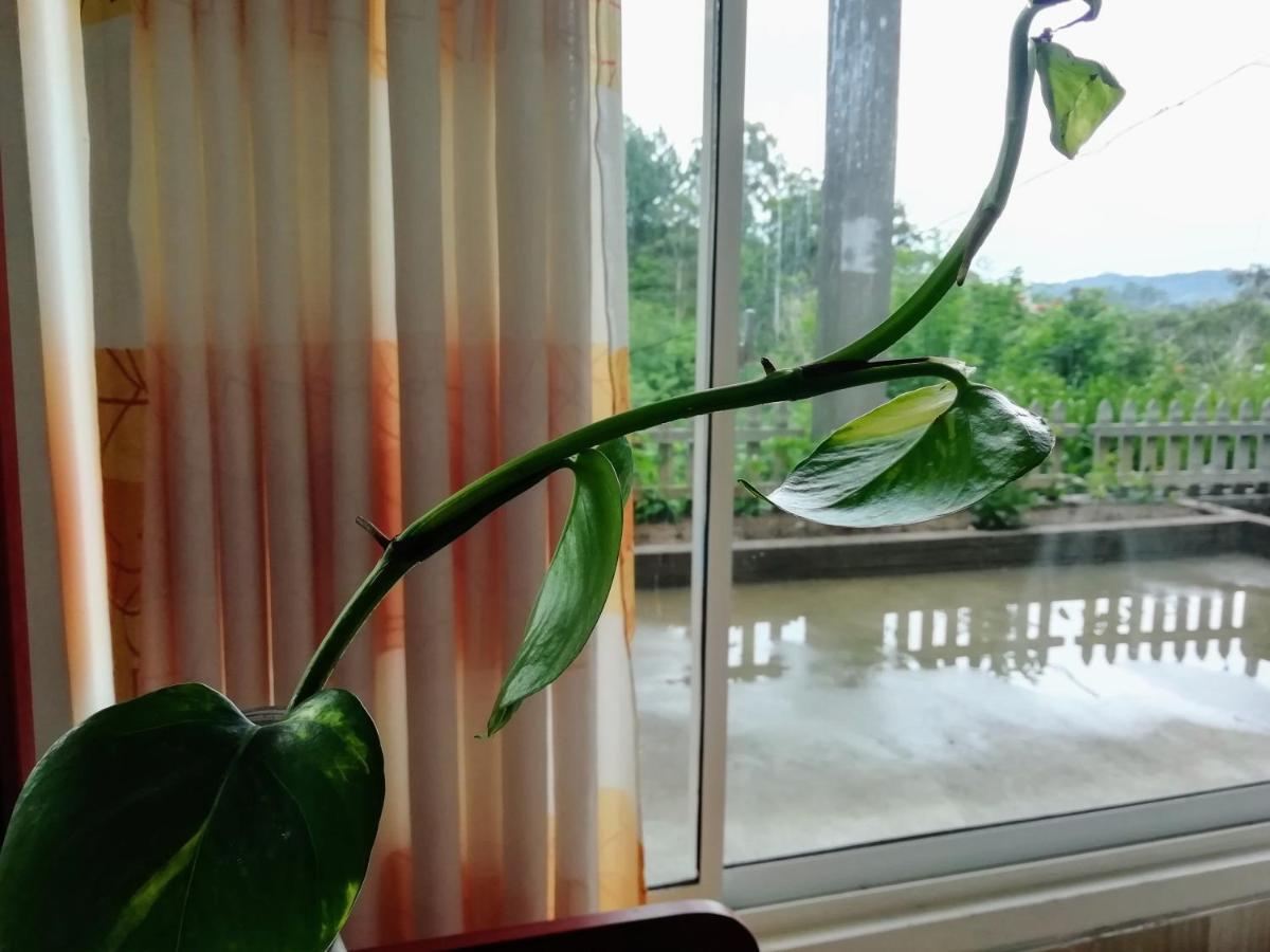 Ella Delightful Surround Homestay Экстерьер фото