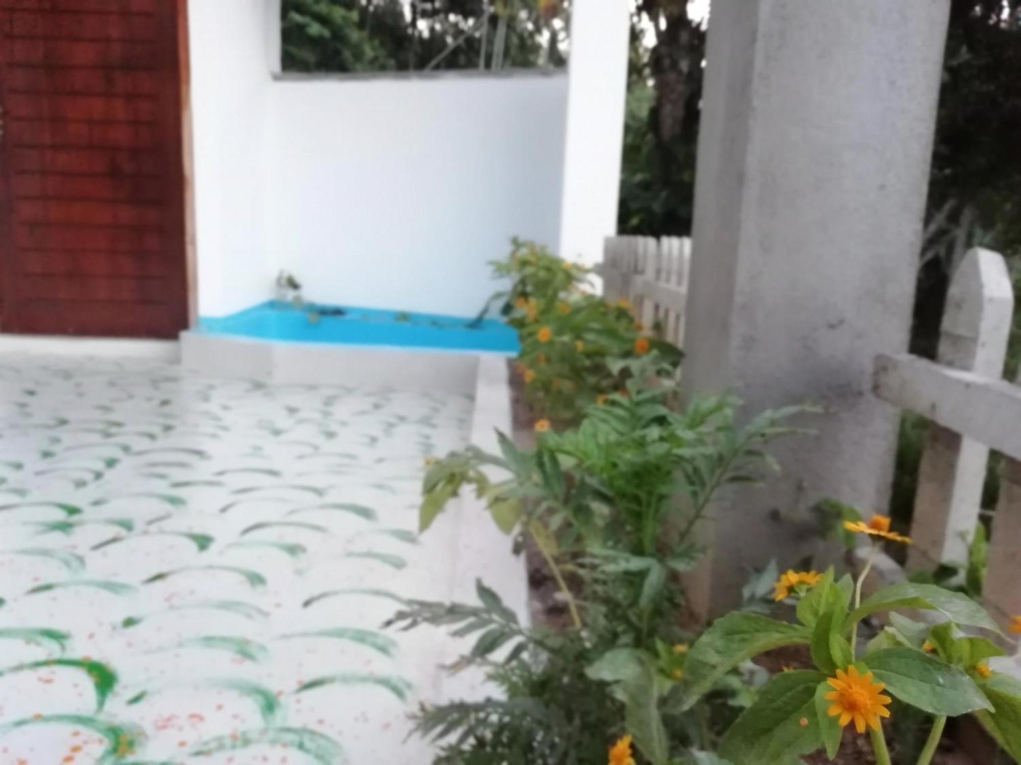 Ella Delightful Surround Homestay Экстерьер фото